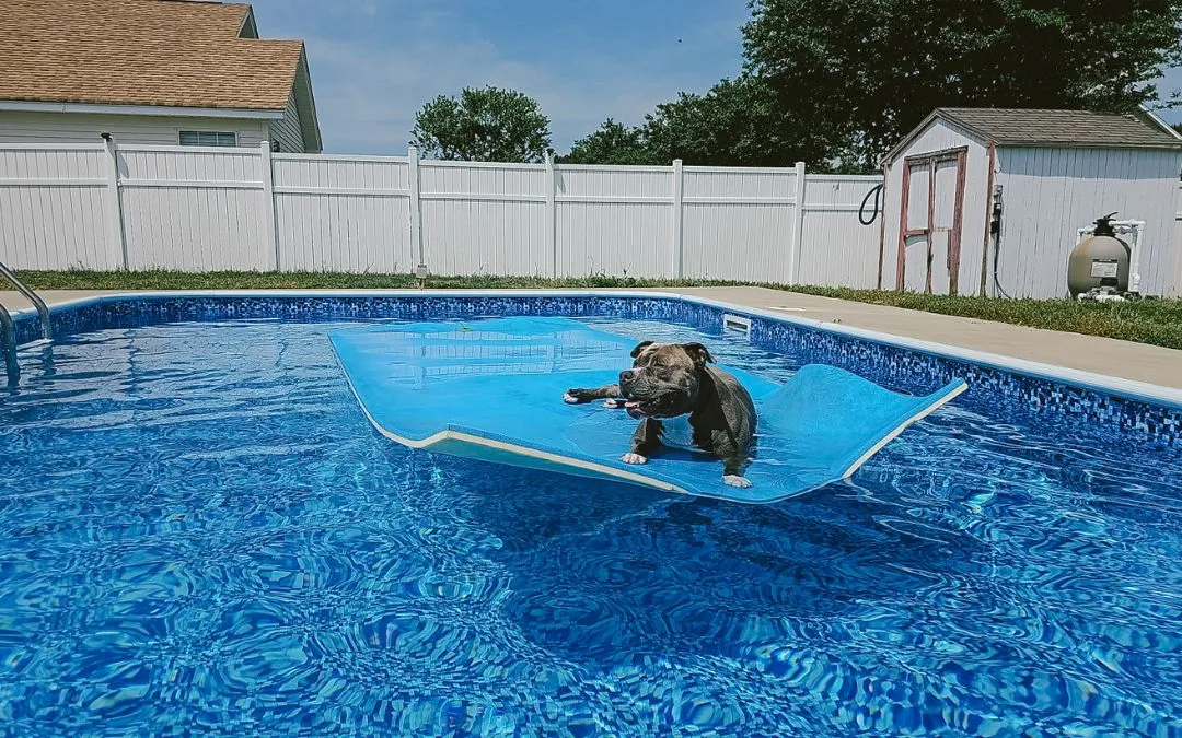 Disco installation 1